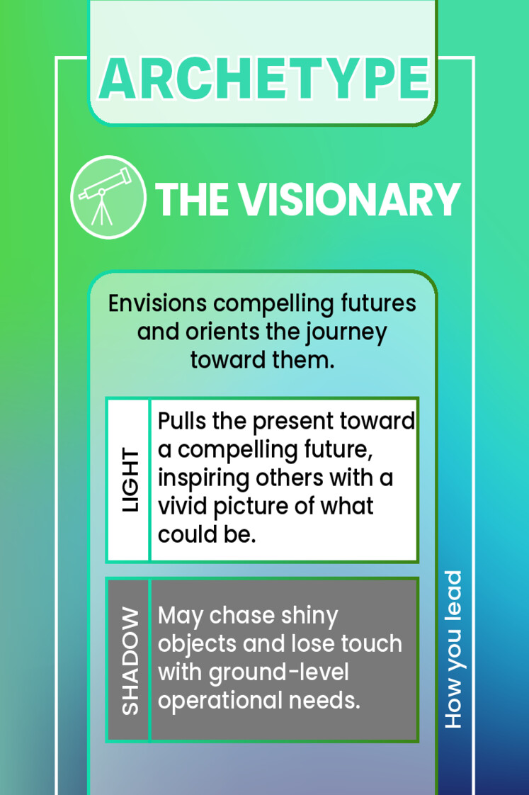 THE VISIONARY