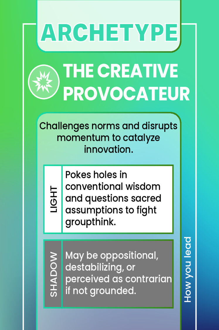THE CREATIVE PROVOCATEUR