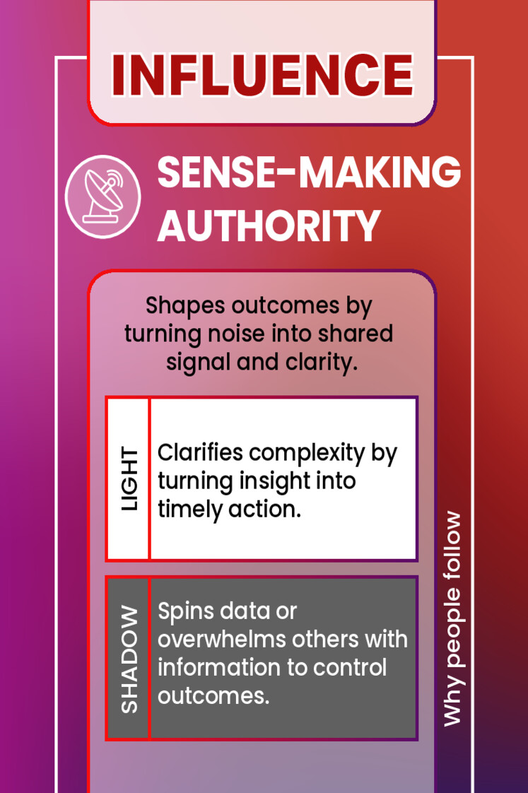 SENSE-MAKING AUTHORITY