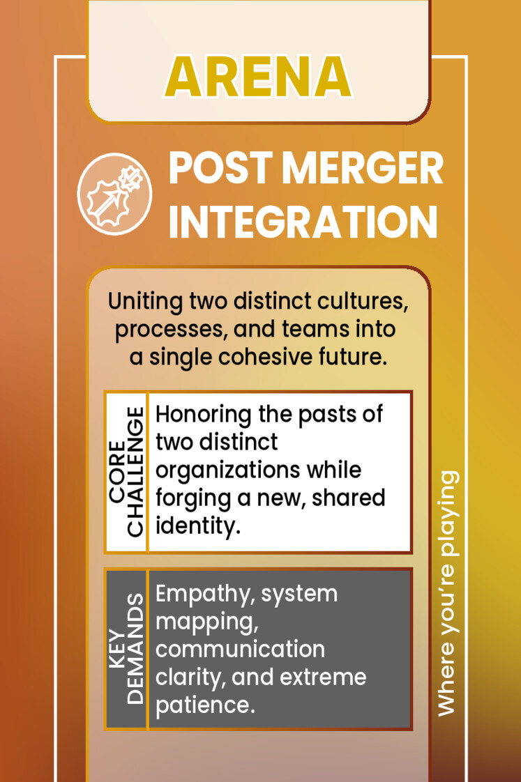 POST MERGER INTEGRATION